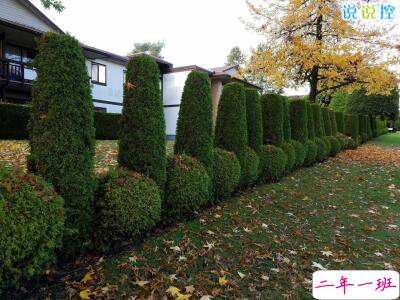 快手热门搞笑段子,快手搞笑说说大全1 快手热门搞笑段子,快手搞笑说说大全1