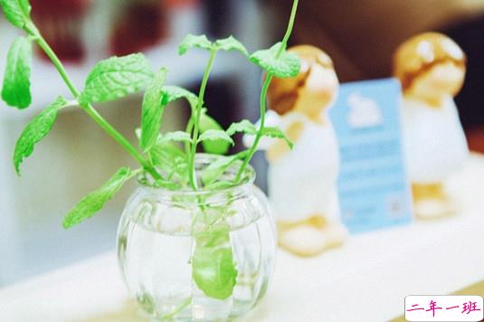 关于恋爱的甜蜜小句子 想把天亮和黄昏都交给你1