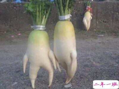 QQ搞笑说说大全 QQ搞笑说说大全