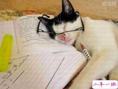 2018最新搞笑说说 2018最新搞笑说说