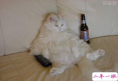 幽默的说说笑死人 幽默的说说笑死人