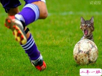 幽默搞笑的说说,幽默搞笑的段子 幽默搞笑的说说,幽默搞笑的段子