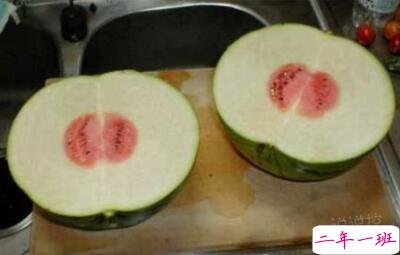 幽默搞笑的说说,幽默搞笑的段子 幽默搞笑的说说,幽默搞笑的段子