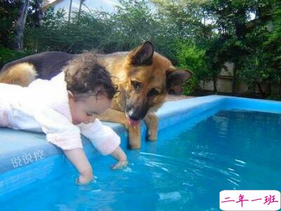 搞笑的说说句子心情 搞笑的说说句子心情