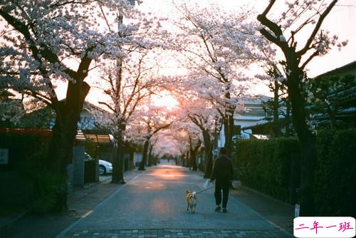 很火的句子唯美又简单精辟 生命是一袭华美的袍3