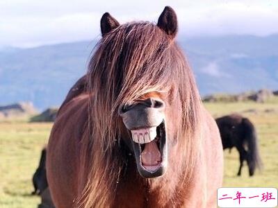 微信搞笑说说点开全文,QQ空间说说展开全文 微信搞笑说说点开全文,QQ空间说说展开全文