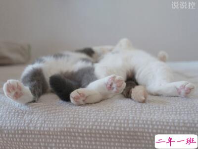 男生搞笑说说大全 男生搞笑说说大全