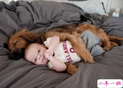 2016最新搞笑说说 2016最新搞笑说说