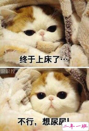 关于天冷的搞笑说说,形容天气冷的幽默句子 关于天冷的搞笑说说,形容天气冷的幽默句子