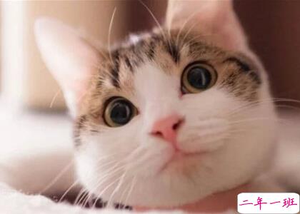 微信经典搞笑说说 微信经典搞笑说说