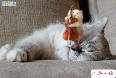 风趣的QQ说说2 风趣的QQ说说2