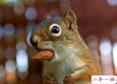 雷人蛋疼的说说1 雷人蛋疼的说说1