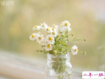 关于爱情的经典说说,爱情经典语录 关于爱情的经典说说,爱情经典语录