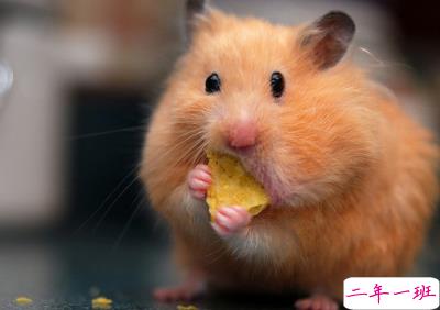 比较萌的说说大全1