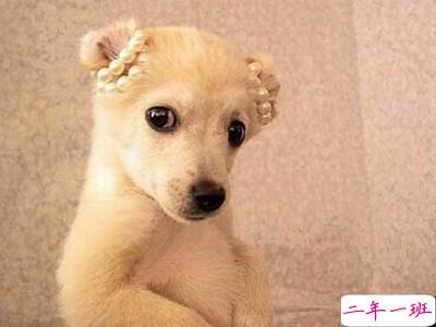 有趣的QQ说说大全1