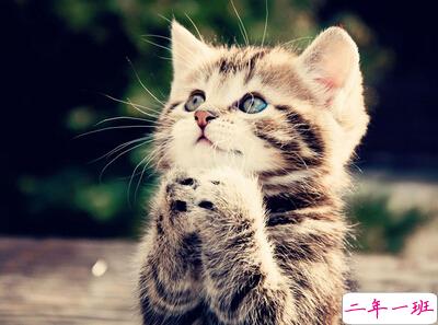 有关于期末考试的空间说说,期末考试搞笑说说大全1 有关于期末考试的空间说说,期末考试搞笑说说大全1