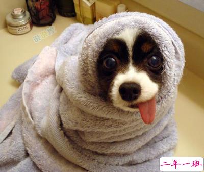 微信搞笑段子2 微信搞笑段子2