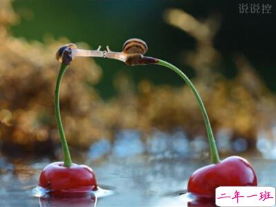 爱情句子说说心情 爱情句子说说心情