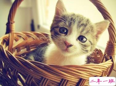 笑死人的句子:想当年,姐最瘦的时候才六斤半!