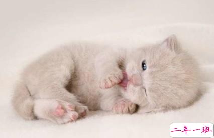 搞笑的心情短语:女人是麻烦,男人就喜欢自找麻烦