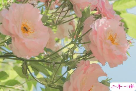 立春励志早安心情说说 立春正能量语录1