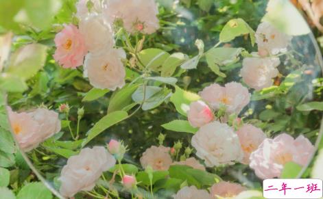 立春励志早安心情说说 立春正能量语录2