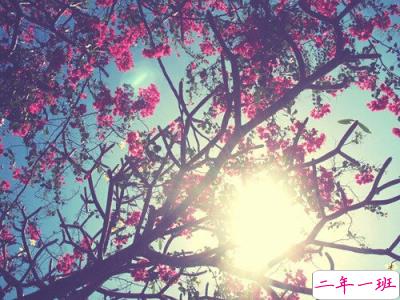 非主流爱情说说 非主流爱情说说