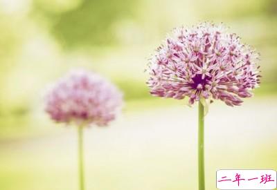 情感语录大全:最幸福的是我爱你,刚好你也爱我!