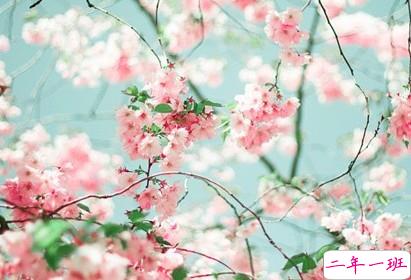 爱情说说带图片:恋爱,要么不开始,要么一辈子!