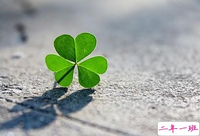 爱情说说带图片:恋爱,要么不开始,要么一辈子!