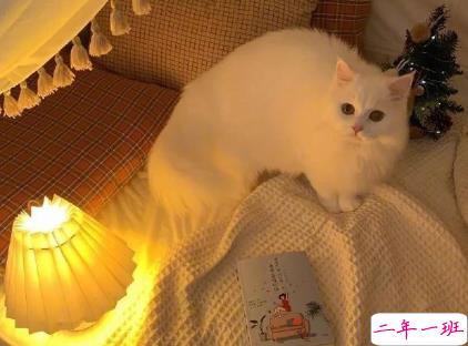 网易云热评墙个性文案 难提起更难放下1