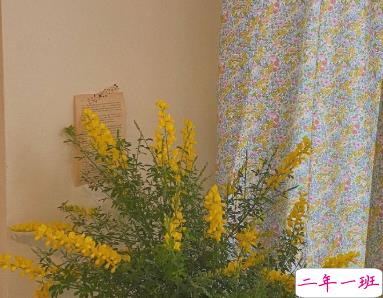 微博热评很酷的朋友圈文案 人间最值得1