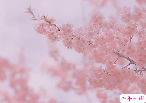 春节给领导的拜年祝福短信 除夕夜给领导的拜年贺词句子2