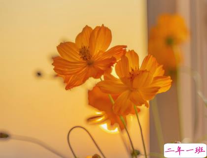 八月你好微信个性说说短语 迎接八月一句话正能量句子2