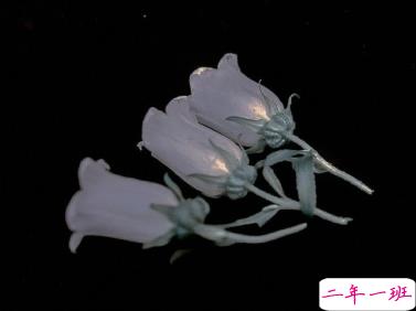 一句话个性说说超吸睛 微博最火简短说说1