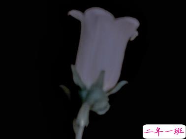 一句话个性说说超吸睛 微博最火简短说说2