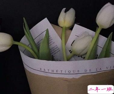 抖音个性说说简短精辟 心向钱别无它念2