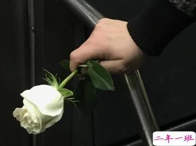 抖音霸气小短句 圈子虽小干净就好1