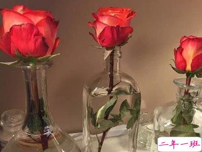 毕业季可作毕业赠言文案 希望你好平安最好1