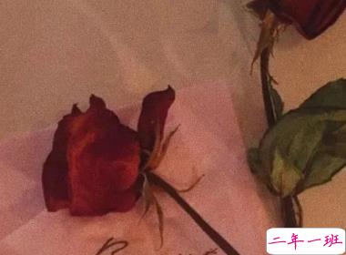 让人一眼就点赞的文案 求之不得往往不求而得2