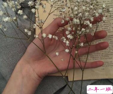 凶一点的文案大全 有点霸气有点拽的个性说说1