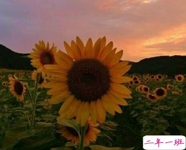 影响你很多年的一句话 人生经典语录大全1