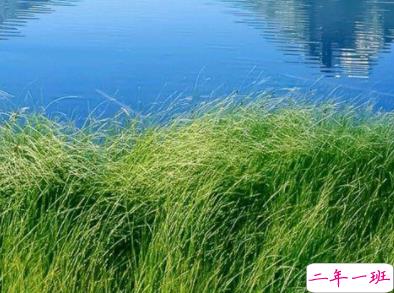 感叹人生短暂的句子 人生苦短世事无常说说1