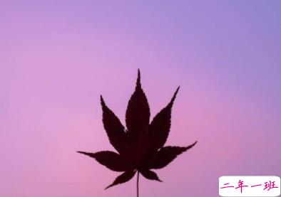 2019十一月微信说说简短经典 11月置顶的高质量说说大全2