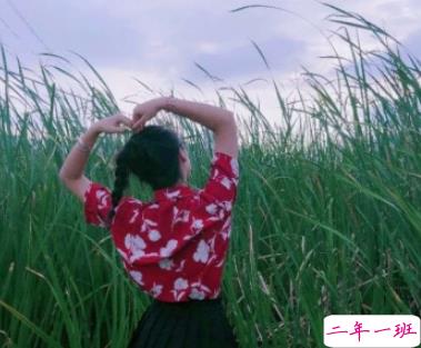 小仙女专属甜句十分撩人 神明爱世我爱你2