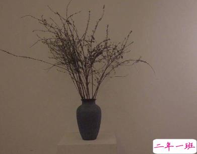 抖音流行的个性说说独一无二 好听又特别的说说大全2