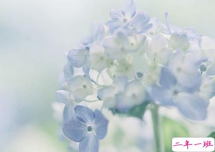 正能量奋斗的说说大全 每天一条微信正能量说说1