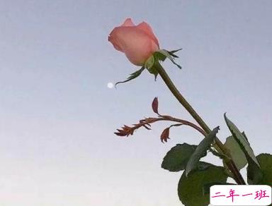 一句话形容你的毕业 2019最新朋友圈毕业说说短句大全1