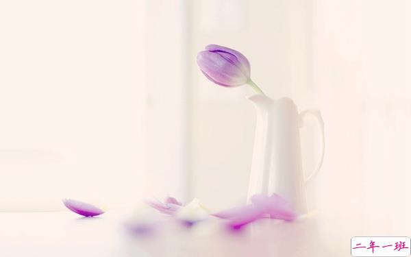 2019谷雨节气经典说说大全 谷雨朋友圈经典语录2