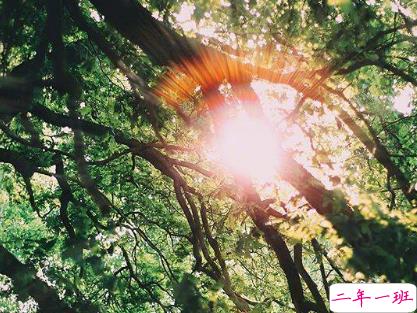 微信个性说说霸气独特 朋友圈点赞的火爆句子1